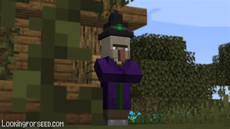 The Evolution of Mature Content in Minecraft Witch
